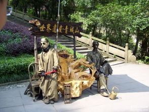 怡人之景与堵心之导——一场矛盾旅程启示录